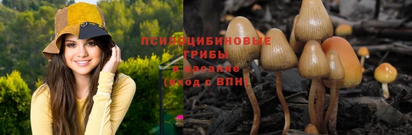 шишки Баксан