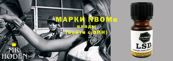 шишки Баксан
