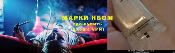 шишки Баксан