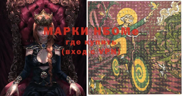 шишки Баксан